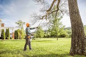 Best Lot and Land Clearing  in West Hattiesburg, MS